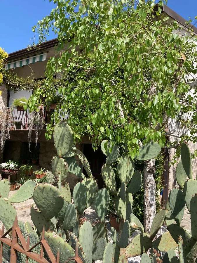 Tencarola B & B Guest house