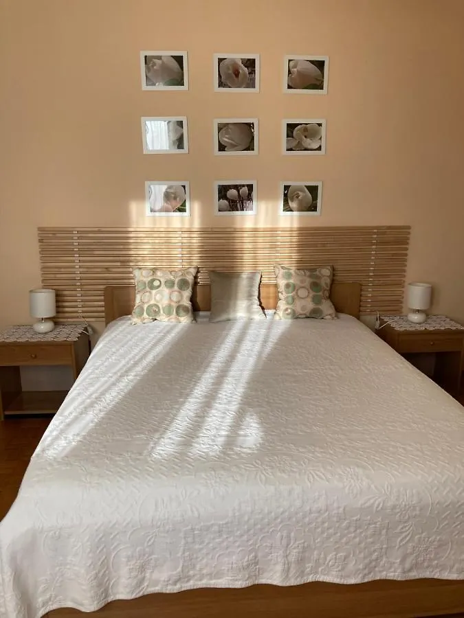 Tencarola B & B Guest house